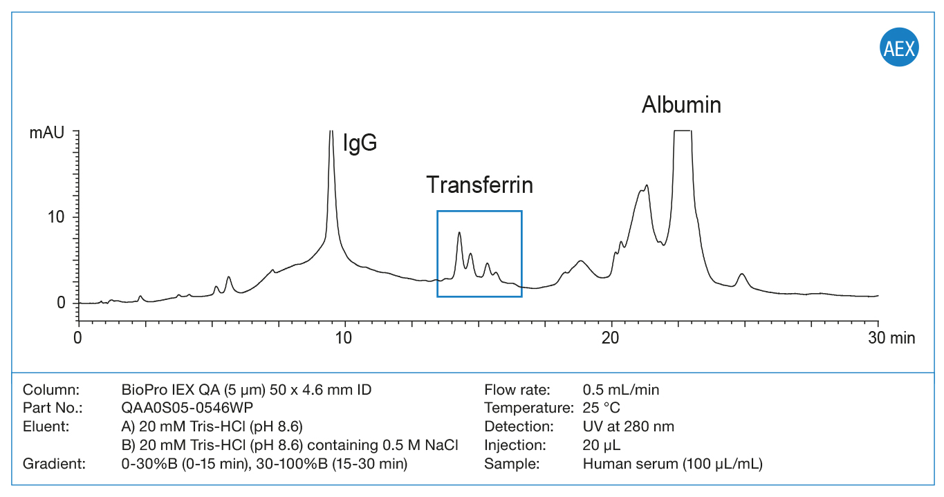 The image shows the high resolution separation of human plasma proteins with anion exchange chromatography at 5 µm particle size.